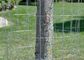 Устойчивый 30 м сварный проволочный забор Роль поддержки для растений