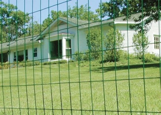 Зеленый цвет покрыл 0.35mm-6mm крен ячеистой сети сварил для ячеистой сет сети ограждать вызревание Rolls анти-