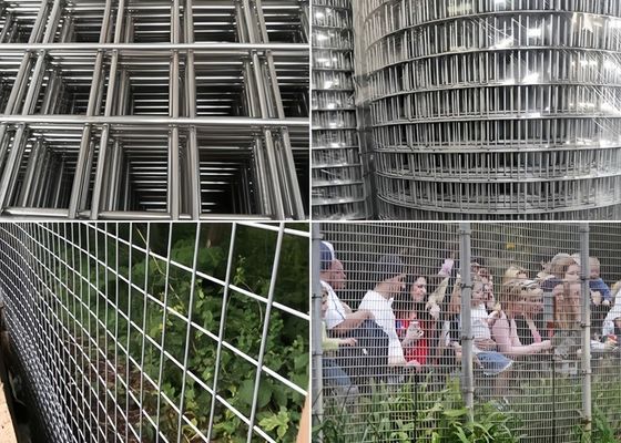 Высоко коррозионностойкие сварные сетчатые роллы прочные различные цвета