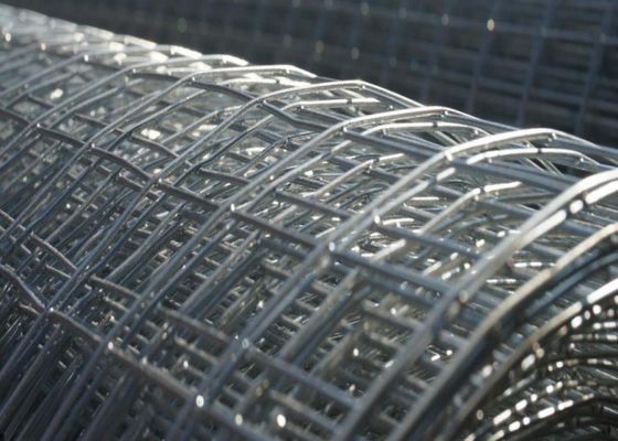 клетки ячеистой сети 1mm-3mm горячий окунутый гальванизированный сваренный животный Rustproof